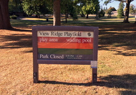View Ridge Playfield Renovation